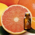 Grapefruit Oil - 1/2 Ounce