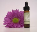 Moisturizing Skin Oil