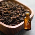 Clove Bud Oil - 1/2 Ounce