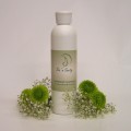 Dandruff Shampoo